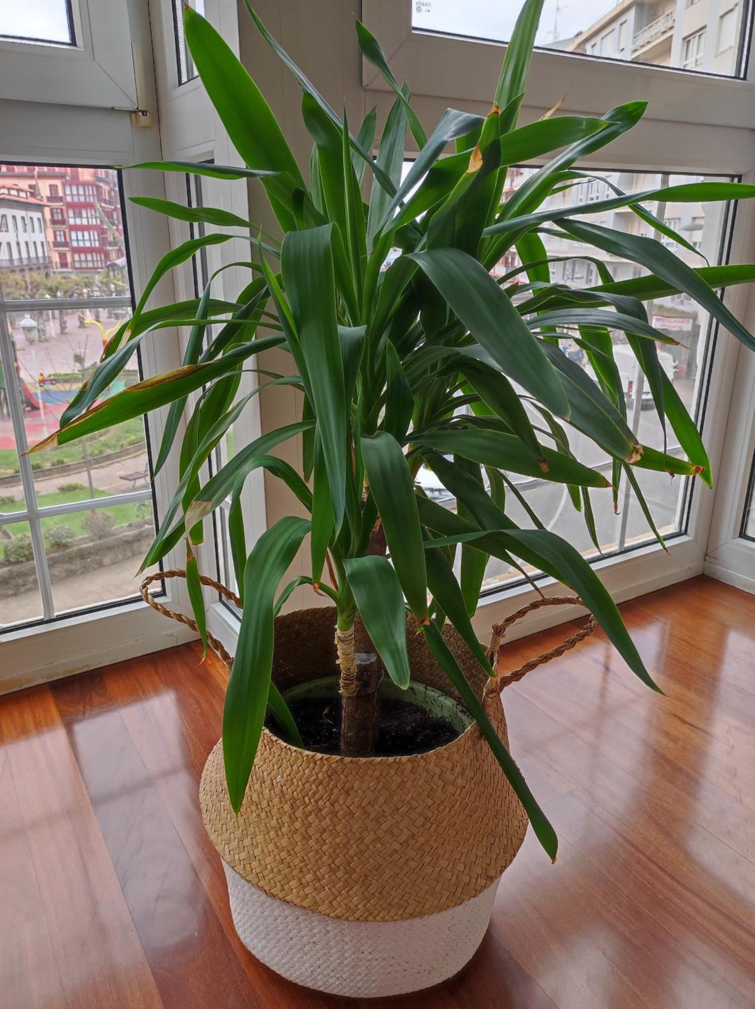 Precioso Piso Con Garaje En El Centro De Castro Urdiales Apartment Ngoại thất bức ảnh